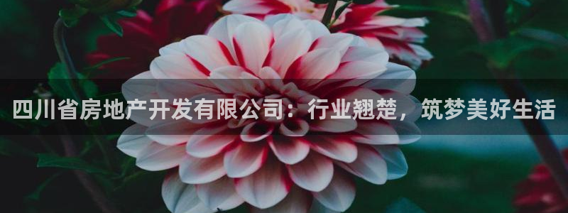 永利会员几个等级