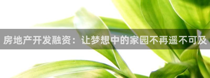 永利金控