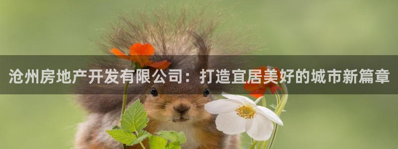 永利网是不是真的便宜