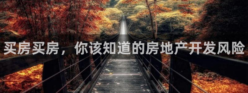 永利官网查询