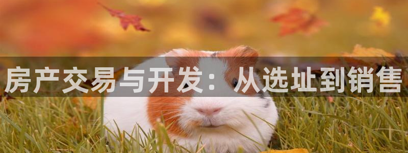 永利链条
