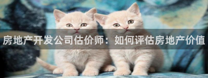 为什么永利会打不开了