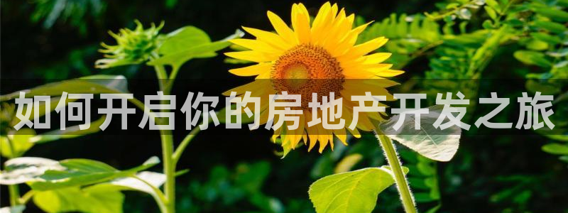 在永利无法出款怎么办