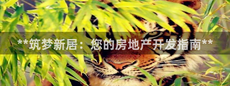 永利传送带业务