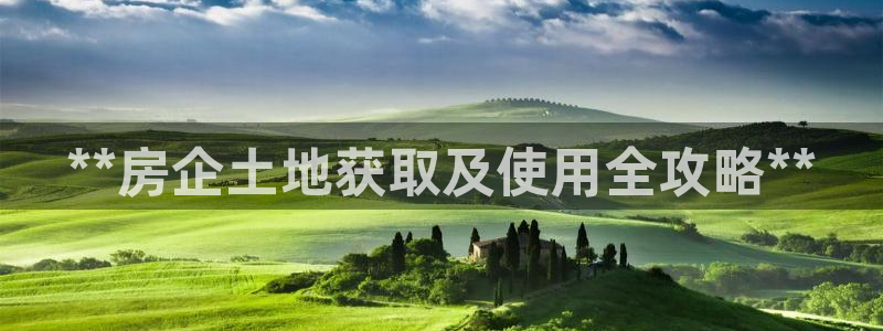 永利股份公司