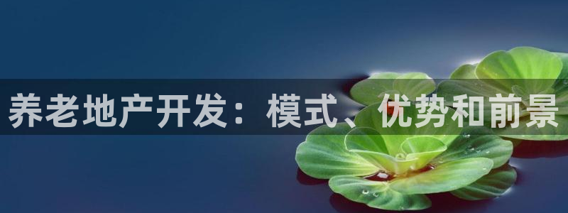 永利集团3044浏览器