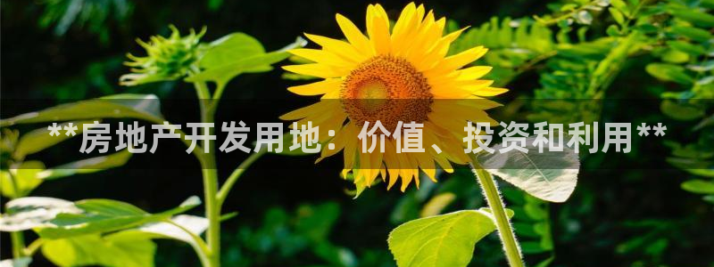 永利带业集团