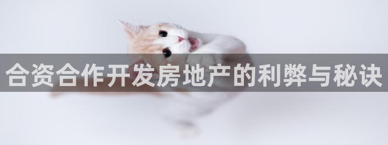 永利皮革有限公司招聘