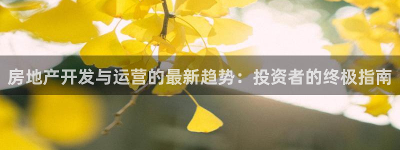 永利不给提款怎么办?