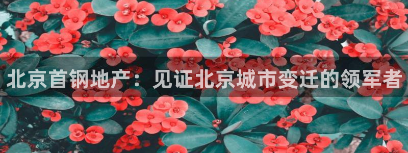 永利股份公司