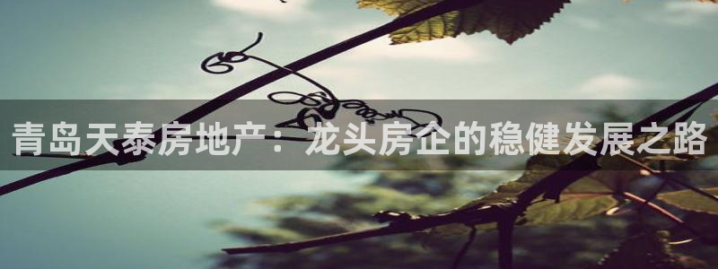 永利网是不是真的假的