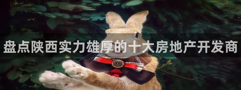 苏州金沙永利怎么样