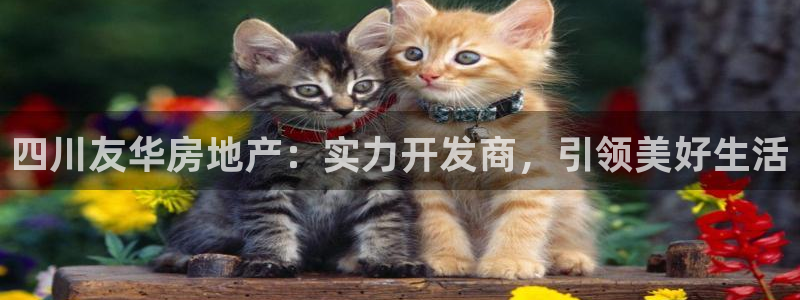 永利网输了几十万