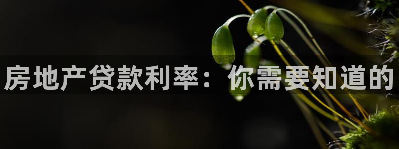 永利每月送30