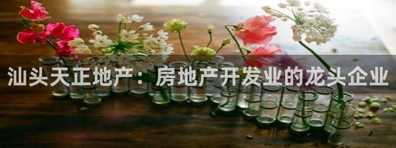 永利表行为什么那么便宜