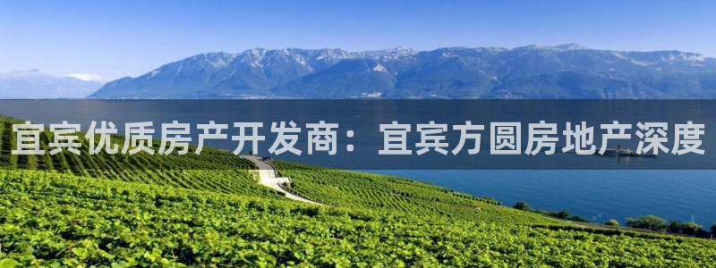 永利皮带报价查询