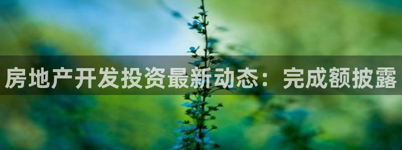 永利 官网