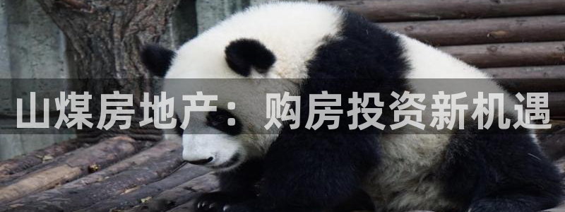 永利皮带型号