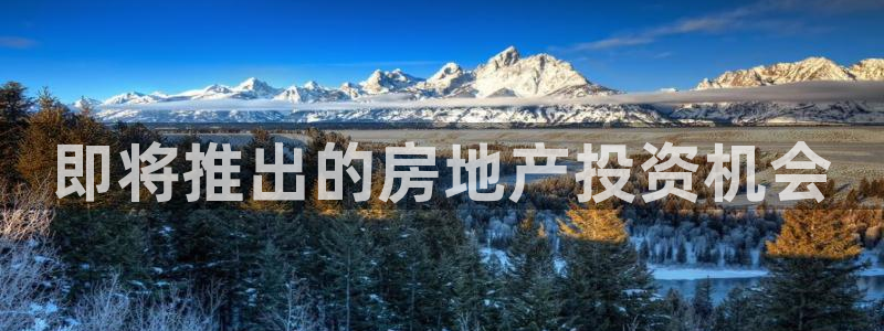 滨州永利集团