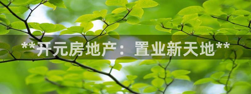 永利官网服务承诺在哪