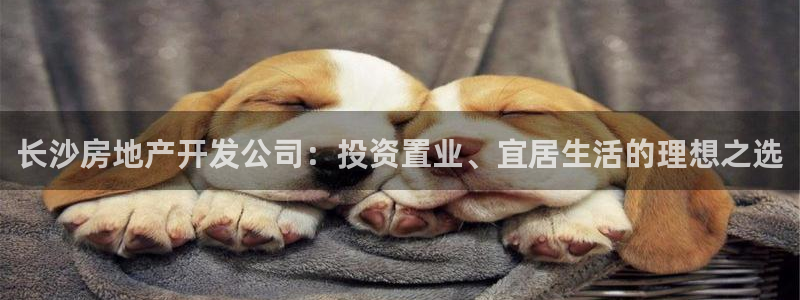 永利皮带型号说明书图片