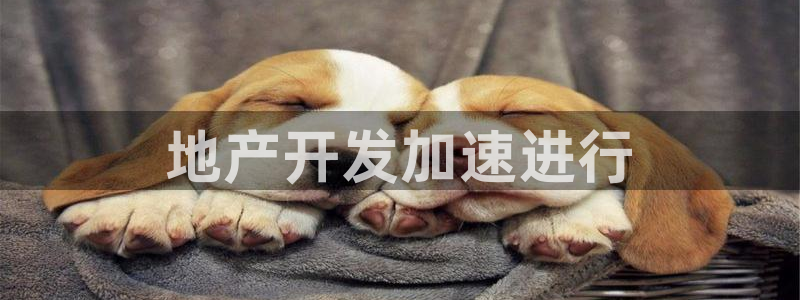 永利汇茶具官网