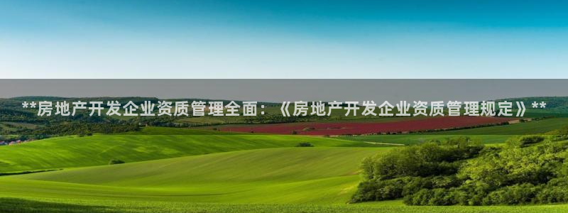 永利皮革有限公司怎么样