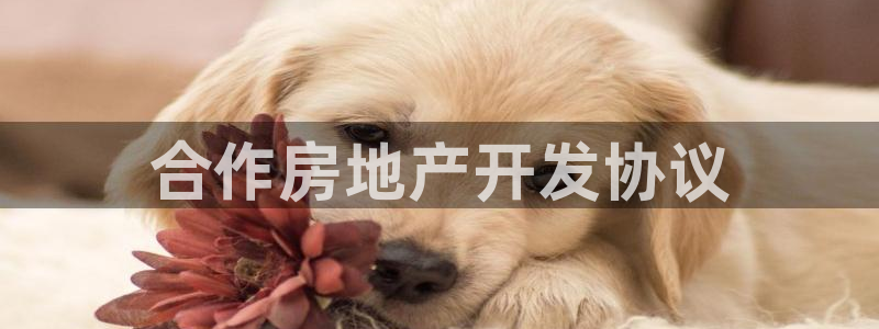 永利饭店倒闭