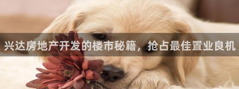 永利养殖场怎么样