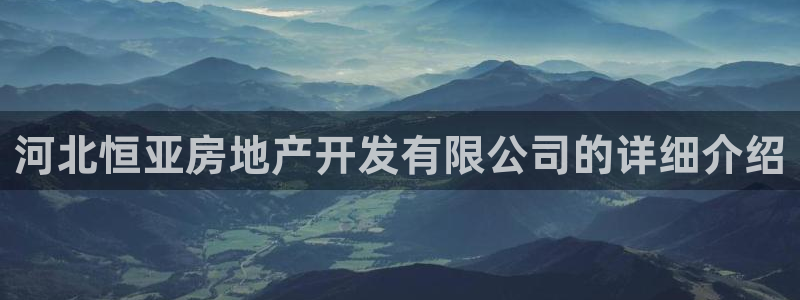 永利公司是做什么的