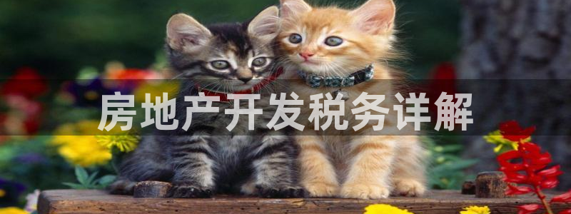 永利背五厘正常价格