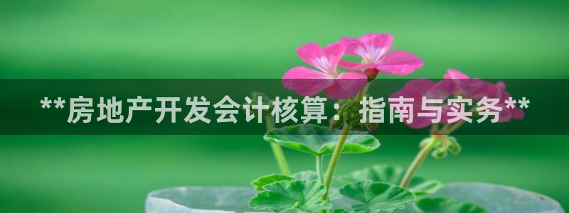 永利技术有限公司