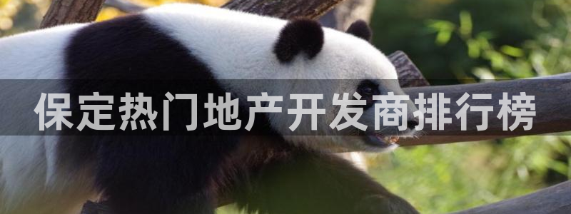 佛山永利批发市场在哪里