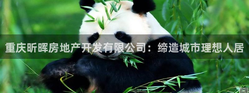 永利地产工程有限公司