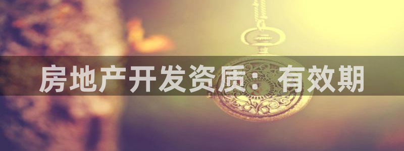 永利皮带报价