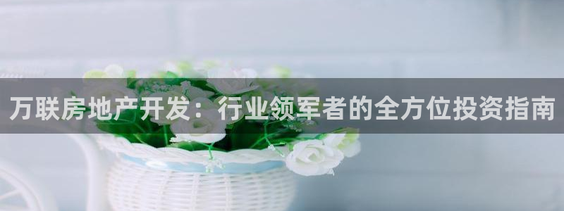 永利集团简介