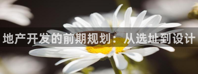 永利饭店倒闭