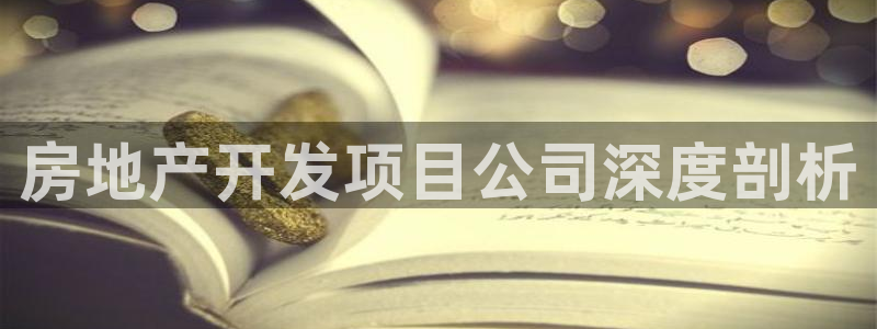澳门 永利