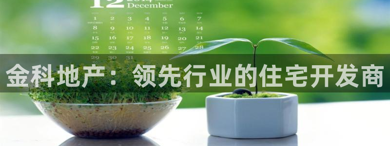 永利保险公司排名