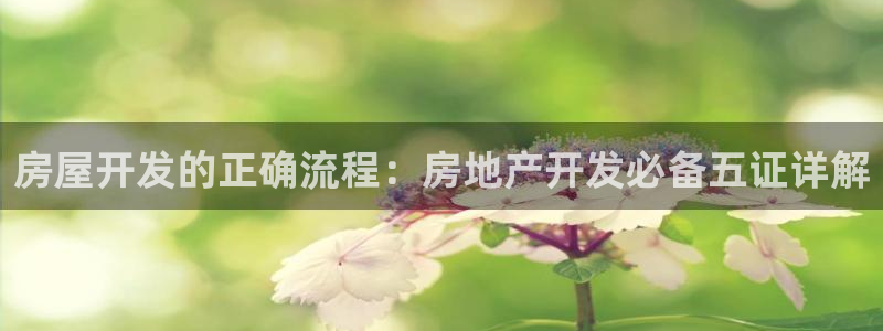 永利钻石会员