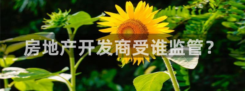 佛山永利工业皮带厂招聘