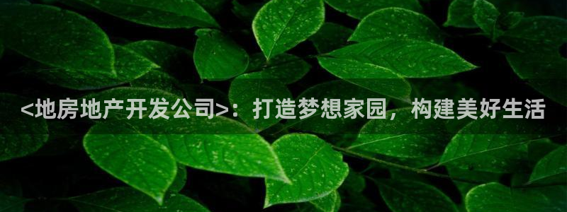 永利官网y