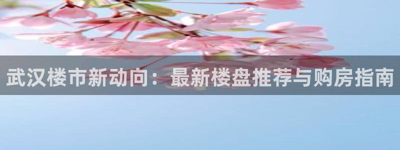 永利金控控股有限公司