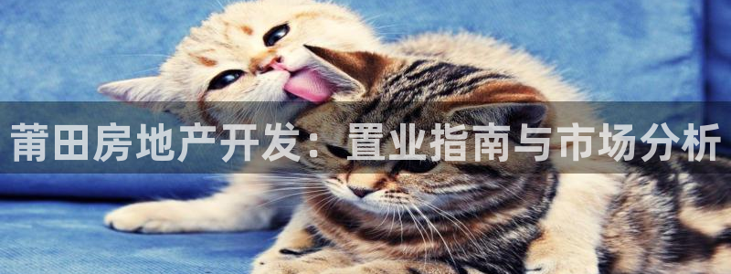 永利保险公司介绍