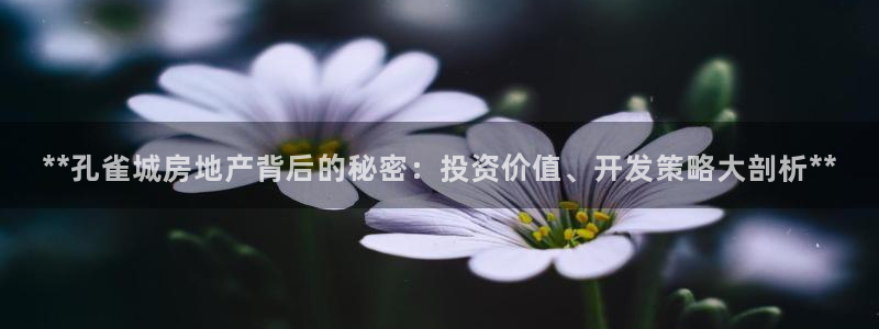 永利网怎么了打不开