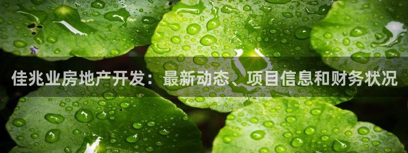 永利汇招聘