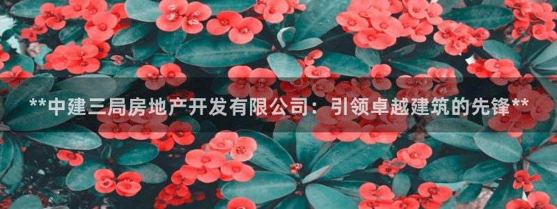永利百货怎么样