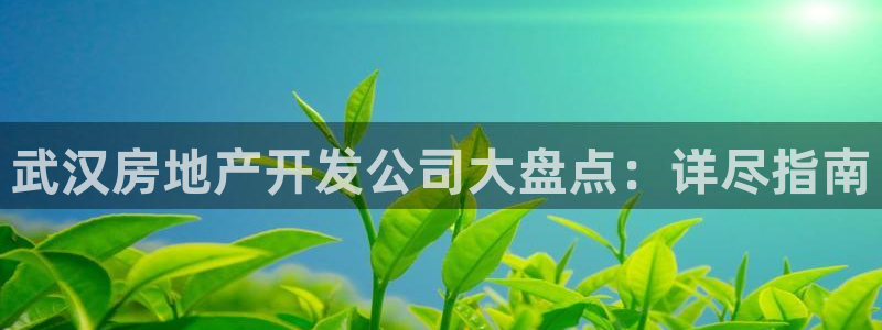 永利皮具lv工厂