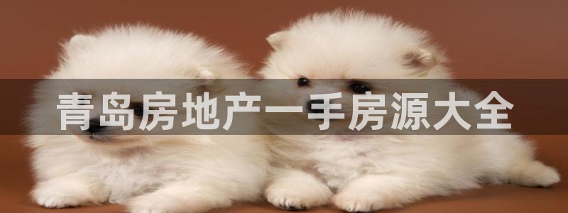 永利34511怎么打不开