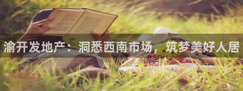 永利地产工程有限公司